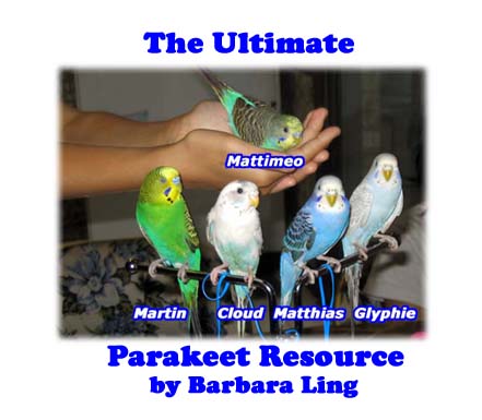 The Ultimate Parakeet Resource